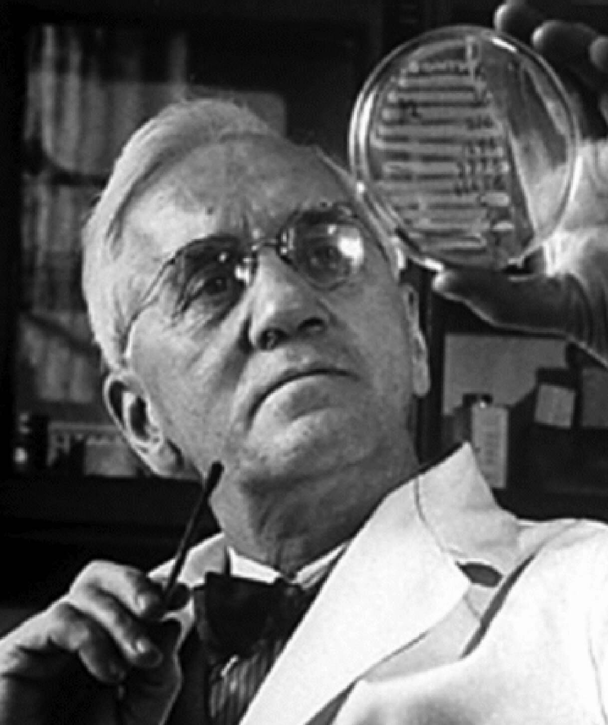 The accidental discovery of lysozyme by Fleming