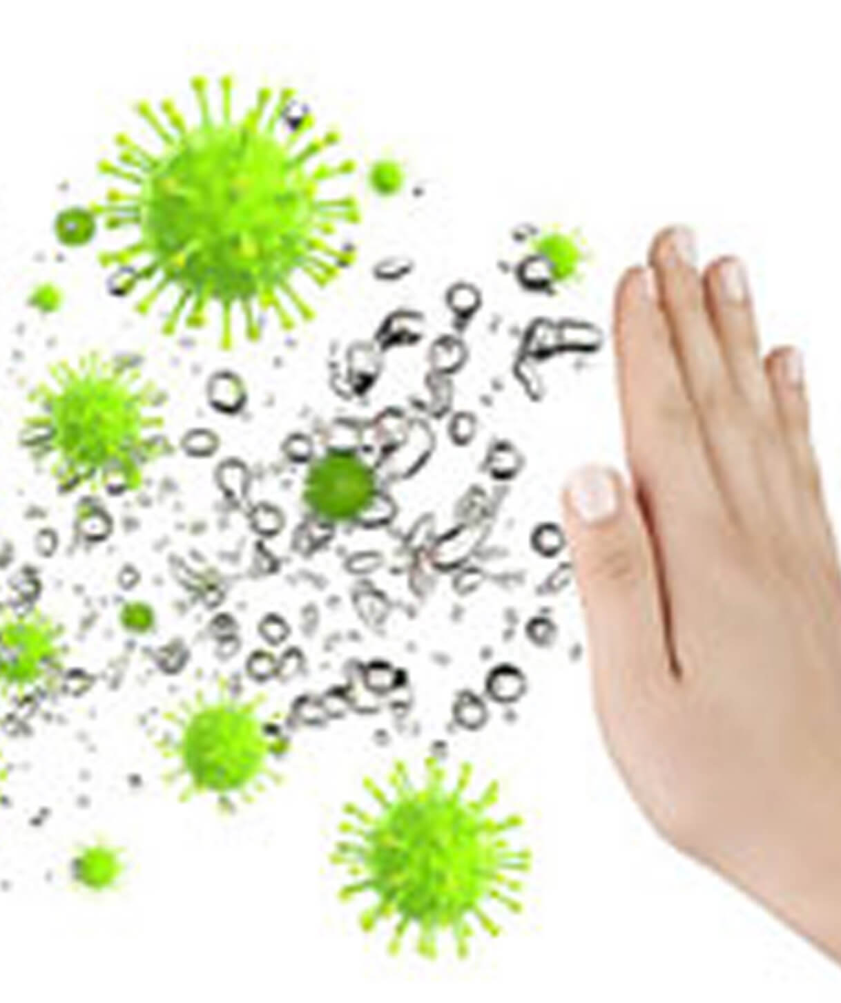 Zwei natürliche Komponenten zur Unterstützung des Immunsystems